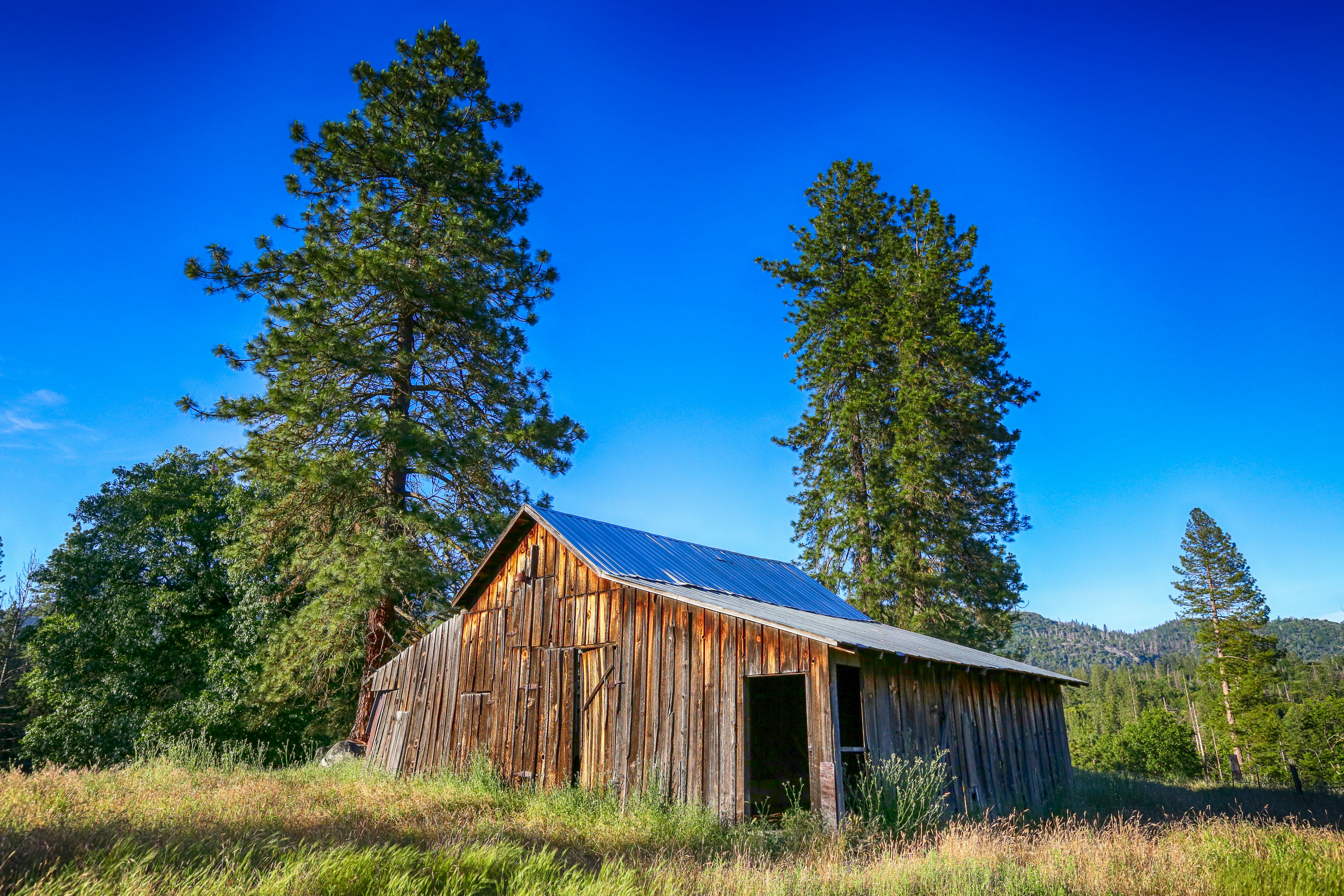 photography of house beside green-leafed trees during daytime